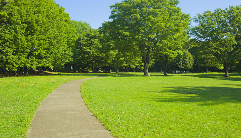 ­�οƤ�Ӥ��ʤ��ꡢ�ˤळ�Ȥ�ġ����祮�󥰤�ԤäƤ�����ʤ���