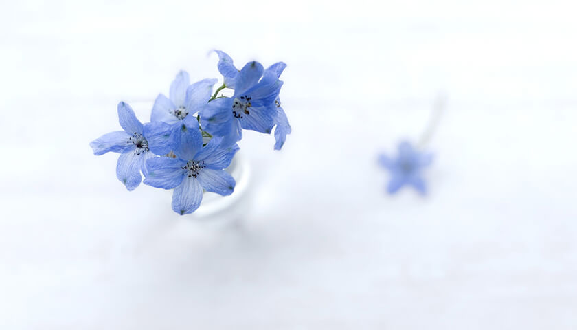 �ȥ���Ƕ�������������Ȥ˶����Ǥ���������ȯ���ɤ���ˡ�Ϥ��롩